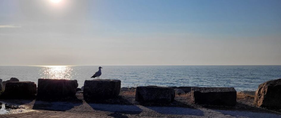 Visby hamn